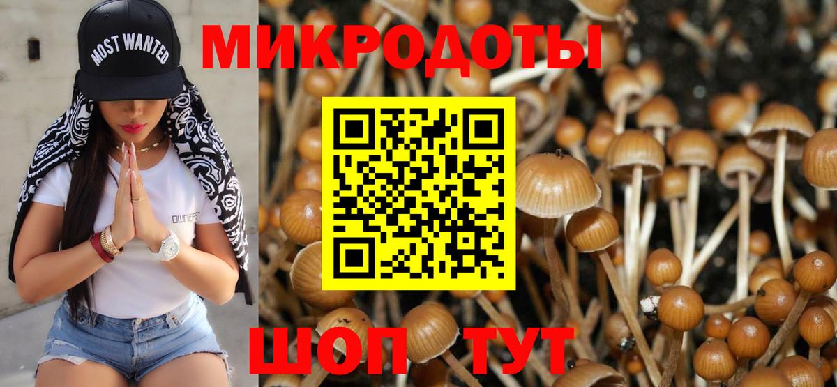 Псилоцибиновые грибы GOLDEN TEACHER  Псилоцибиновые грибы Cubensis  Ирбит  Вход с VPN 