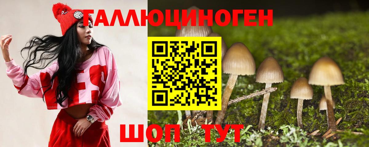 Галлюциногенные грибы GOLDEN TEACHER Ирбит